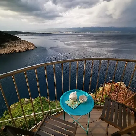 Verbana 비르브닉