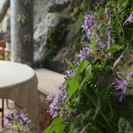 게스트하우스 Verbana 비르브닉