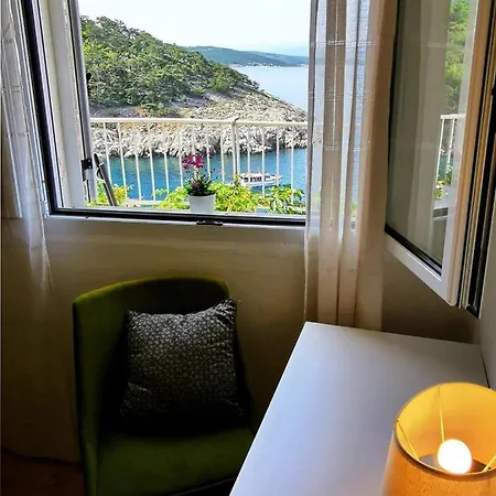 Verbana 게스트하우스 비르브닉