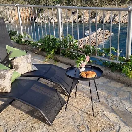 Verbana 게스트하우스 비르브닉