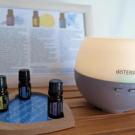 Verbana 게스트하우스 4*