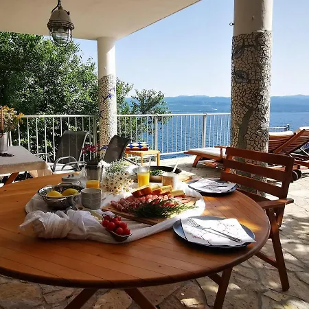 Verbana 비르브닉