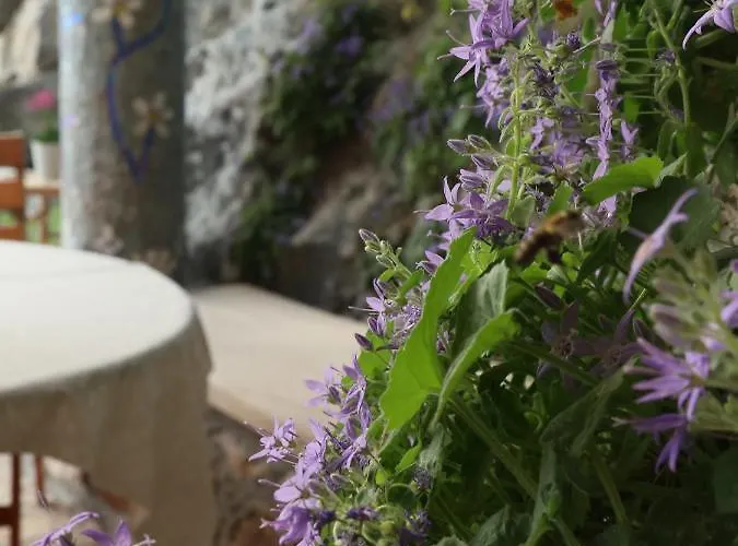 Affittacamere Verbana Vrbnik (Primorje-Gorski Kotar)